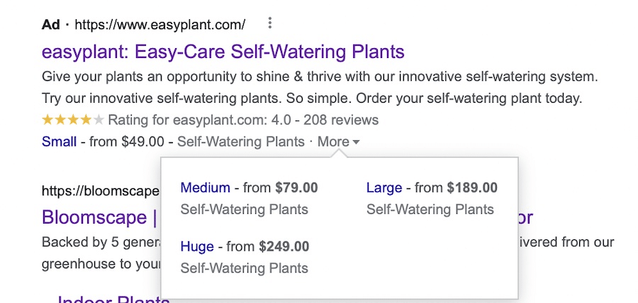 Google Ads assets for pricing