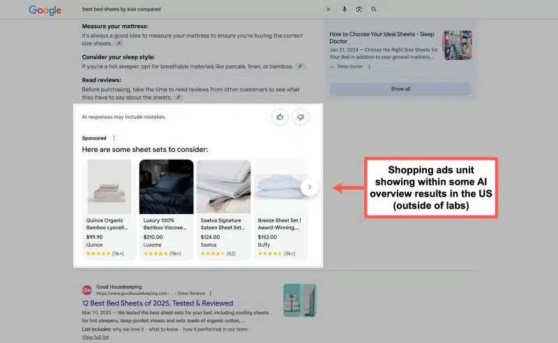an example of google ads in AI overviews
